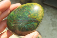 Polished Green Verdite Palm Stones x 6 From Zimbabwe