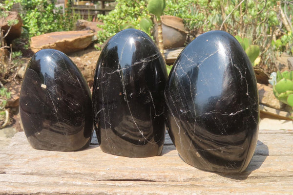 Polished Black Tourmaline Standing Free Forms x 3 From Madagascar