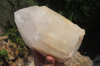 Polished Partially White Quartz Crystal x 1 From Madagascar