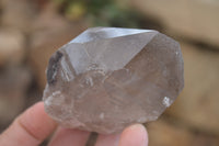 Natural Smokey Quartz Crystals x 6 From Zomba, Malawi