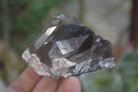 Natural Smokey Quartz Crystals x 6 From Zomba, Malawi