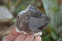 Natural Smokey Quartz Crystals x 6 From Zomba, Malawi