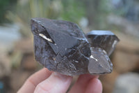 Natural Smokey Quartz Crystals x 6 From Zomba, Malawi