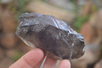 Natural Smokey Quartz Crystals x 6 From Zomba, Malawi