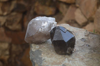 Natural Smokey Quartz Crystals x 6 From Zomba, Malawi