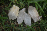 Natural Pineapple Candle Quartz Crystals x 63 From Antsirabe, Madagascar