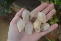 Natural Pineapple Candle Quartz Crystals x 63 From Antsirabe, Madagascar