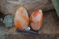 Polished Carnelian Standing Free Forms x 4 From Madagascar