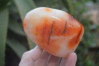 Polished Carnelian Standing Free Forms x 4 From Madagascar