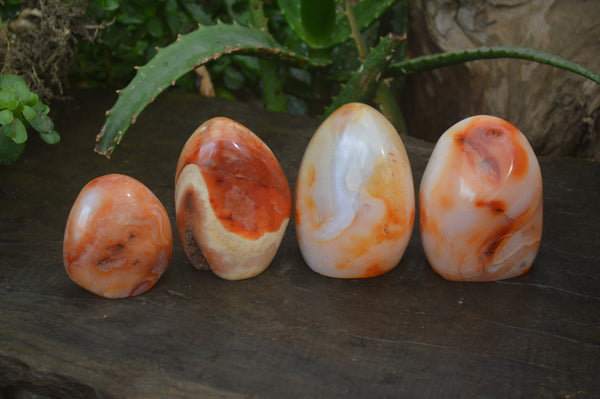 Polished Carnelian Standing Free Forms x 4 From Madagascar