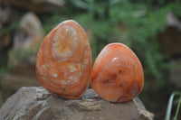 Polished Carnelian Standing Free Forms x 4 From Madagascar