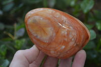 Polished Carnelian Standing Free Forms x 4 From Madagascar