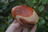 Polished Carnelian Standing Free Forms x 4 From Madagascar