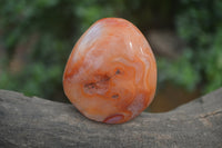 Polished Carnelian Standing Free Forms x 4 From Madagascar