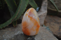 Polished Carnelian Standing Free Forms x 4 From Madagascar