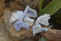 Natural Etched Blue Chalcedony Specimens x 6 From Nsanje, Malawi