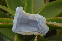 Natural Etched Blue Chalcedony Specimens x 6 From Nsanje, Malawi