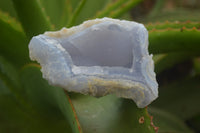 Natural Etched Blue Chalcedony Specimens x 6 From Nsanje, Malawi