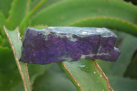 Polished On One Side Metallic Purpurite x 12 From Namibia