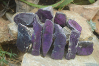 Polished On One Side Metallic Purpurite x 12 From Namibia