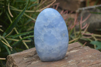 Polished Blue Calcite Standing Free Forms x 2 From Ihadilalana, Madagascar