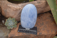 Polished Blue Calcite Standing Free Forms x 2 From Ihadilalana, Madagascar