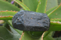 Natural Black Tourmaline Crystal Specimens x 3 From Zimbabwe