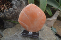 Polished Orange Twist Calcite Standing Free Form x 1 From Maevantanana, Madagascar