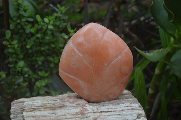 Polished Orange Twist Calcite Standing Free Form x 1 From Maevantanana, Madagascar