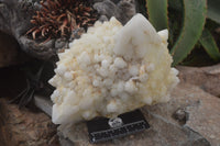 Natural Pineapple Candle Quartz Cluster x 1 From Antsirabe, Madagascar