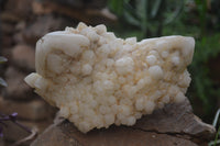 Natural Pineapple Candle Quartz Cluster x 1 From Antsirabe, Madagascar