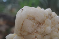 Natural Pineapple Candle Quartz Cluster x 1 From Antsirabe, Madagascar