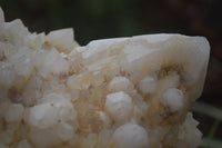 Natural Pineapple Candle Quartz Cluster x 1 From Antsirabe, Madagascar