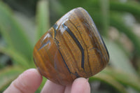 Polished Tiger's Eye Free Forms x 12 From Prieska, South Africa