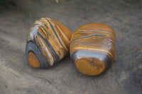 Polished Tiger's Eye Free Forms x 12 From Prieska, South Africa