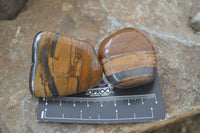 Polished Tiger's Eye Free Forms x 12 From Prieska, South Africa