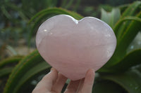 Polished Rose Quartz Gemstone Hearts x 2 From Madagascar