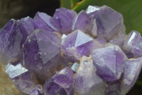 Polished Amethyst Clusters x 2 From Zambia