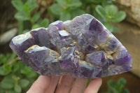 Polished Amethyst Clusters x 2 From Zambia