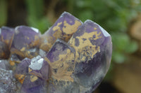 Polished Amethyst Clusters x 2 From Zambia