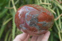 Polished Red Jasper Standing Free Forms x 2 From Madagascar