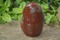 Polished Red Jasper Standing Free Forms x 2 From Madagascar