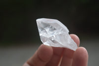 Natural Clear Quartz Crystals x 35 From Zambia