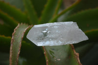 Natural Clear Quartz Crystals x 35 From Zambia