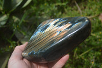 Polished Labradorite Standing Free Forms x 2 From Madagascar