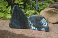 Polished Labradorite Standing Free Forms x 2 From Madagascar