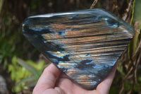 Polished Labradorite Standing Free Forms x 2 From Madagascar