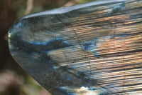 Polished Labradorite Standing Free Forms x 2 From Madagascar