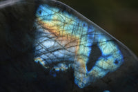 Polished Labradorite Standing Free Forms x 2 From Madagascar