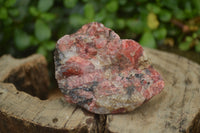 Natural Rhodonite Cobbed Specimens x 14 From Zimbabwe